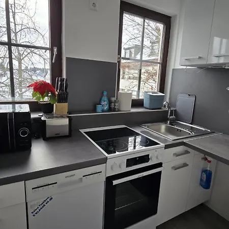 Black Forest Koenigsfeld Апартаменты *